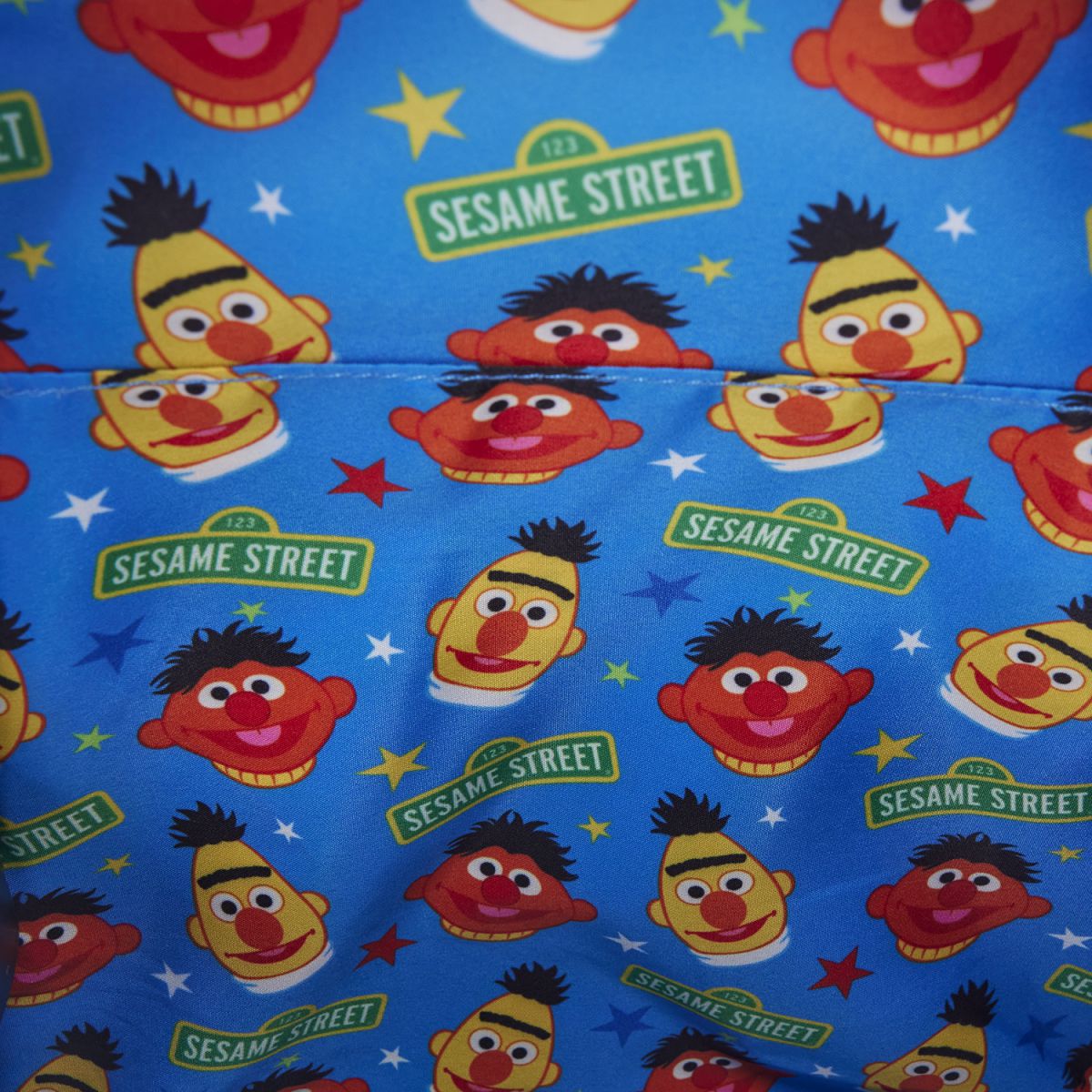 Sesame Street Exclusive Bert & Ernie Mini Backpack